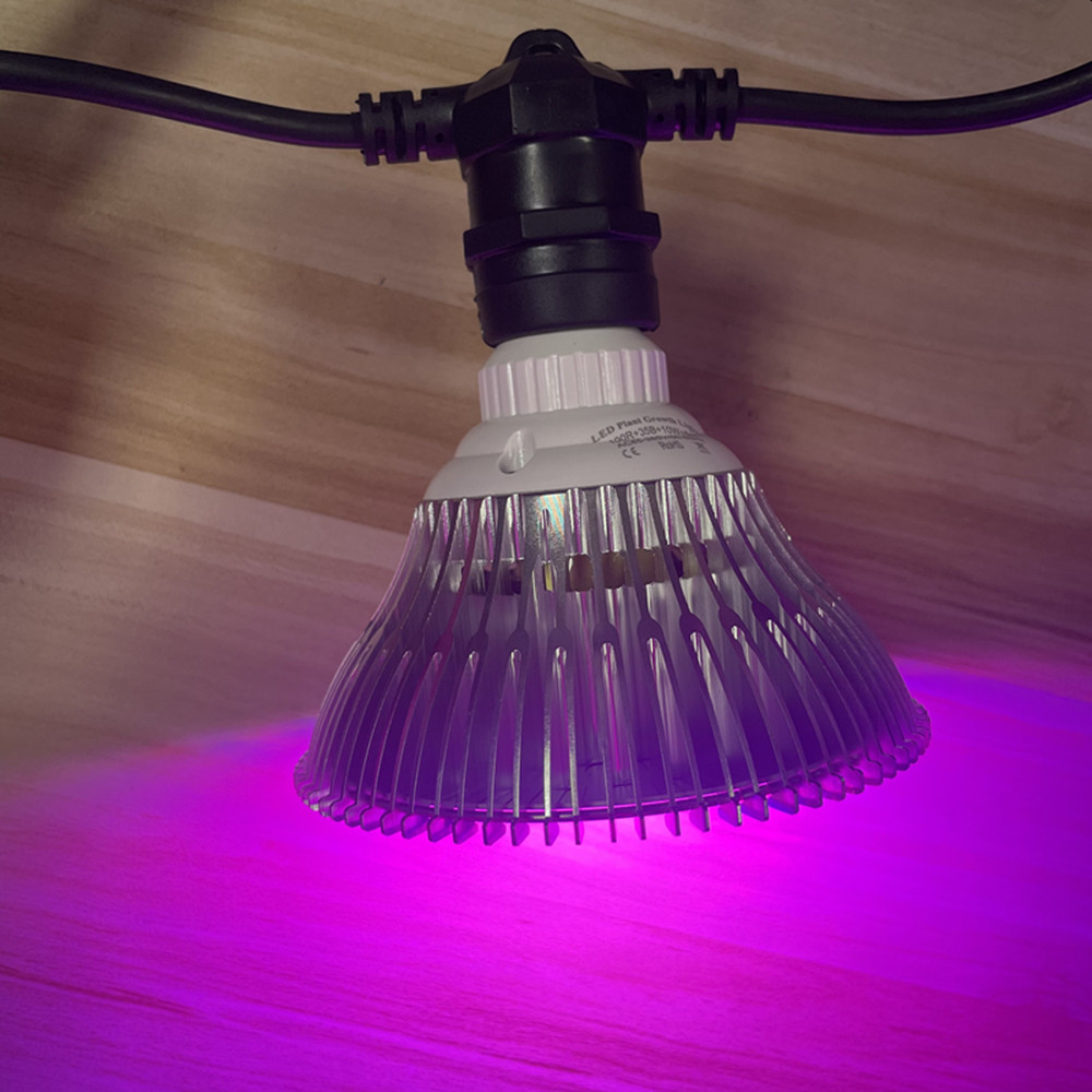 10M Cable LED String Commercia - Outdoor Lighting Permanent ulasan dan harga