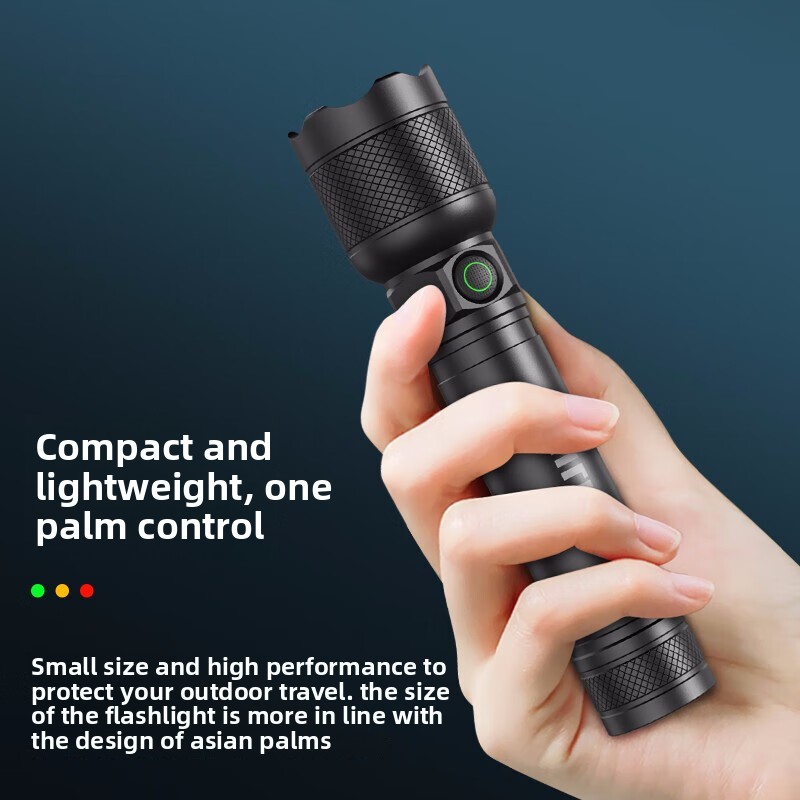 2025 NEW Philips SFL2188 LED A - Outdoor Lighting Philips ulasan dan harga